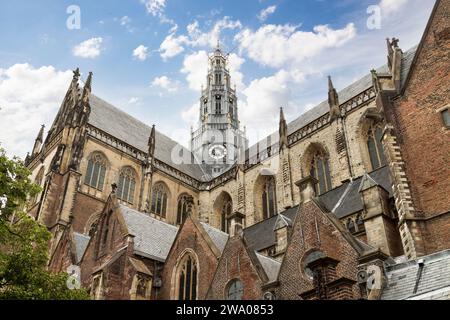 Grote Kerk oder St.-Bavokerk, eine reformierte evangelische Kirche und ehemalige katholische Kathedrale in Haarlem in den Niederlanden. Stockfoto