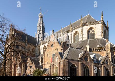 Die Grote Kerk oder St.-Bavokerk, eine reformierte evangelische Kirche und ehemalige katholische Kathedrale in Haarlem in den Niederlanden. Stockfoto