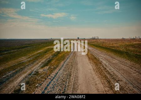 Eine unbefestigte Straße führt durch ein grasbewachsenes Feld und unter klarem Himmel in die Ferne. Stockfoto