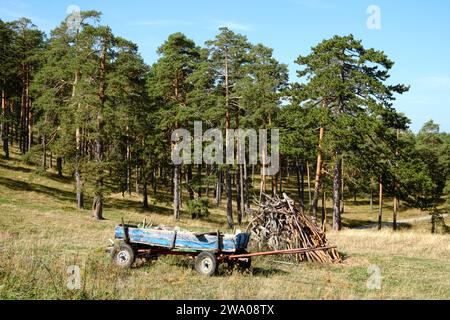 Ein alter, schäbiger Wagen mit Gummireifen für den Transport von Brennholz in Zlatibor, Serbien Stockfoto