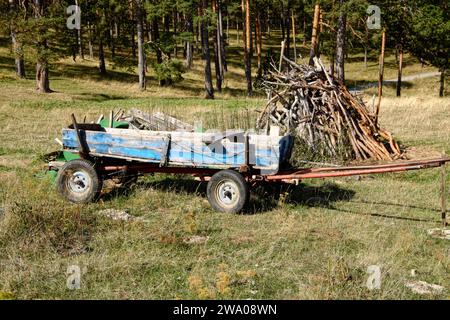 Ein alter, schäbiger Wagen mit Gummireifen für den Transport von Brennholz in Zlatibor, Serbien Stockfoto