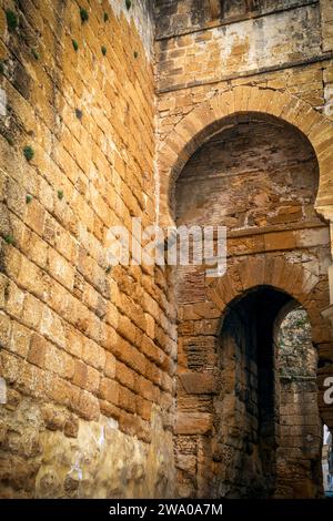 Detail des Sevilla-Tores in der Alcázar von Sevilla in Carmona, Sevilla, Andalusien, Spanien Stockfoto