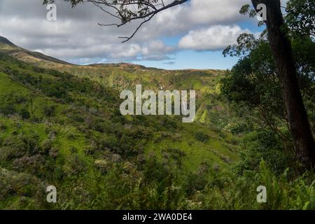 Der Waihe'e Ridge Trail enthüllt Wasserfälle inmitten der üppigen Landschaft Mauis. Stockfoto