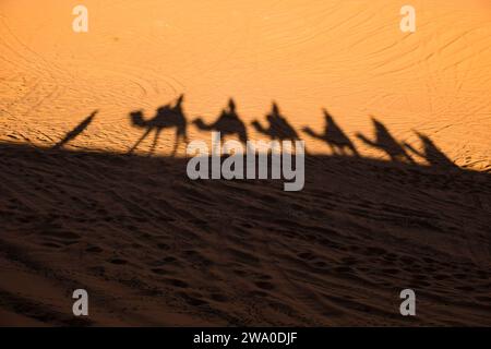 Schatten der Touristen Kamelwanderung geführt von einem Berber-Reiseleiter im Erg Chebbi Sandmeer, Sahara Wüste, Marokko Stockfoto