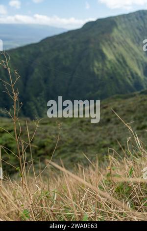 Sonnenverwöhnte Täler und tiefgrüne Falten des Waihe'e Ridge verkörpern Mauis raue Schönheit. Stockfoto