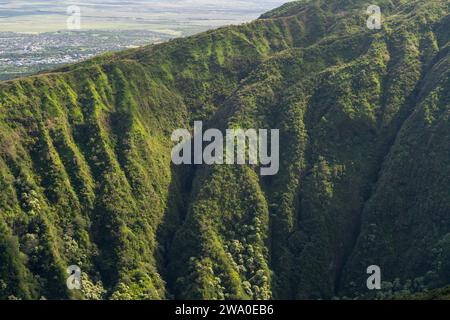 Sonnenverwöhnte Täler und tiefgrüne Falten des Waihe'e Ridge verkörpern Mauis raue Schönheit. Stockfoto