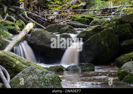 Schlesien Karkonoski Park Narodowy Nationalpark Riesengebirge bei Schreiberhau Szklarska PorÄba. Szklarska PorÄba Schlesien Polen *** Schlesien Karkonoski Park Narodowy Nationalpark Riesengebirge bei Schreiberhau Szklarska PorÄba Szklarska PorÄba Schlesien Polen Stockfoto