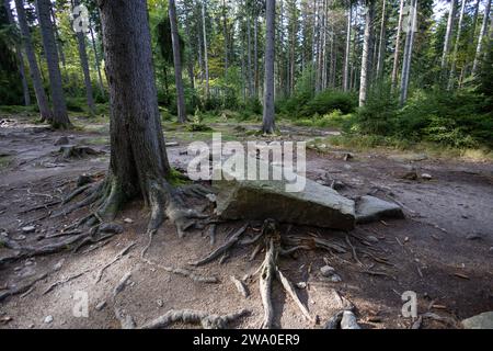 Schlesien Karkonoski Park Narodowy Nationalpark Riesengebirge bei Schreiberhau Szklarska PorÄba. Szklarska PorÄba Schlesien Polen *** Schlesien Karkonoski Park Narodowy Nationalpark Riesengebirge bei Schreiberhau Szklarska PorÄba Szklarska PorÄba Schlesien Polen Stockfoto