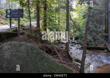 Schlesien Karkonoski Park Narodowy Nationalpark Riesengebirge bei Schreiberhau Szklarska PorÄba. Szklarska PorÄba Schlesien Polen *** Schlesien Karkonoski Park Narodowy Nationalpark Riesengebirge bei Schreiberhau Szklarska PorÄba Szklarska PorÄba Schlesien Polen Stockfoto