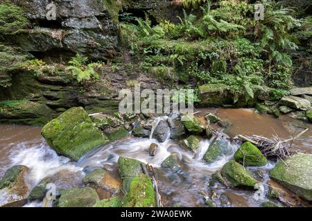 Schlesien Karkonoski Park Narodowy Nationalpark Riesengebirge bei Schreiberhau Szklarska PorÄba. Szklarska PorÄba Schlesien Polen *** Schlesien Karkonoski Park Narodowy Nationalpark Riesengebirge bei Schreiberhau Szklarska PorÄba Szklarska PorÄba Schlesien Polen Stockfoto