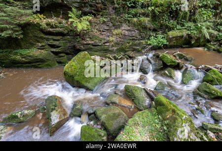 Schlesien Karkonoski Park Narodowy Nationalpark Riesengebirge bei Schreiberhau Szklarska PorÄba. Szklarska PorÄba Schlesien Polen *** Schlesien Karkonoski Park Narodowy Nationalpark Riesengebirge bei Schreiberhau Szklarska PorÄba Szklarska PorÄba Schlesien Polen Stockfoto