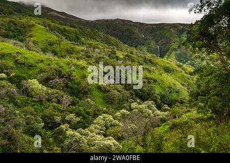 Wasserfälle zieren die lebhaften Hügel von Mauis Waihe'e Ridge. Stockfoto