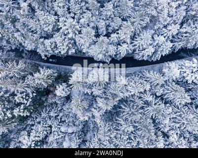 Eine kurvige Straße führt durch einen winterlichen Wald, von oben erfasst, aus der Vogelperspektive, Calw, Schwarzwald, Deutschland, Europa Stockfoto