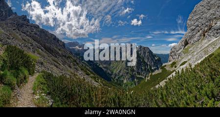 Ein schmaler Bergweg schlängelt sich durch eine Landschaft aus üppigem Grün und Felswänden unter bewölktem Himmel, Zugspitze, Waxensteinspitze, Höllental, H Stockfoto