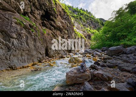 Wildes, schäumendes Wasser fließt über Felsen in einem bewachsenen Flusstal, Höllentalklamm, Höllental, Hammersbach, Garmisch-Partenkirchen, Wetterstein-Sortiment, Stockfoto