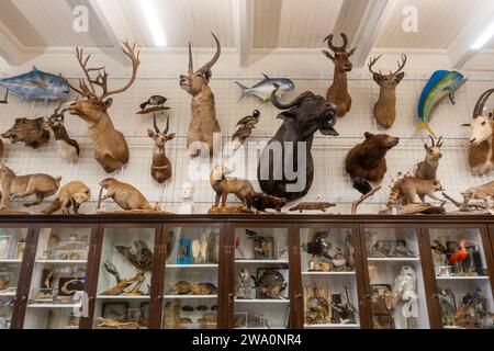 Edna Lawrence Nature Lab an der Rhode Island School of Design im Zentrum von Providence Rhode Island Stockfoto