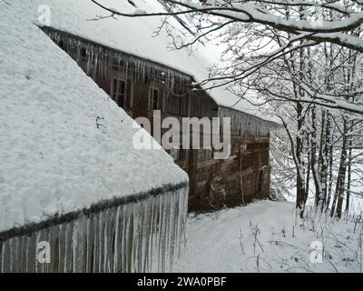 Schwarzwaldhof im Winter, Eiszapfen, Schnee, Oberroturacher Hof, Urachtal, Schwarzwald, Baden-Württemberg, Deutschland, Europa Stockfoto