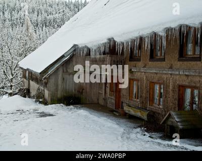 Schwarzwaldhof im Winter, Eiszapfen, Schnee, Oberroturacher Hof, Urachtal, Schwarzwald, Baden-Württemberg, Deutschland, Europa Stockfoto