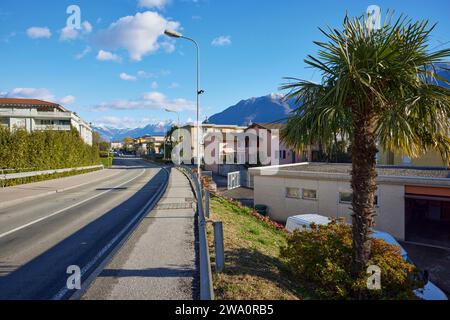 Straße durch ein Wohngut mit einer chinesischen Hanfpalme (Trachycarpus fortunei) und schneebedeckten Bergen im Hintergrund in Ascona, Bezirk Lo Stockfoto