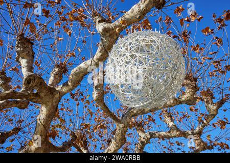 Weihnachtsdekoration auf einer Platanus in Ascona, Bezirk Locarno, Kanton Tessin, Schweiz, Europa Stockfoto