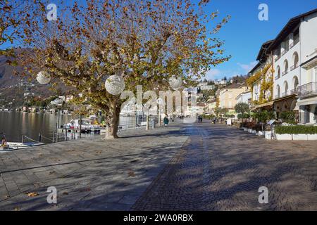 Platanus mit Weihnachtsschmuck und Häusern an der Promenade Piazza Giuseppe Motta in Ascona, Bezirk Locarno, Kanton Tessin, Stockfoto