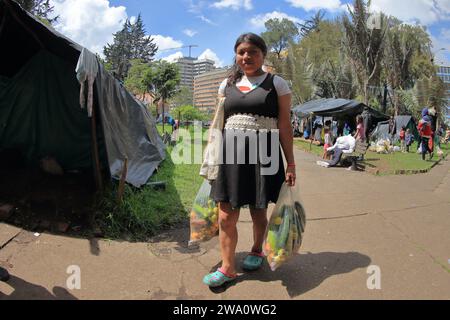 Bogota, Kolumbien. Dezember 2023. Dezember, 29, 2023, Bogota.Colombia: Eine indigene Frau, die durch bewaffnete Soldaten zwischen der ELN-Guerilla und der kolumbianischen Armee im Deparment Choco im Westen des Landes vertrieben wurde, ist im Nationalpark von Bogota City zu sehen.( Foto: Jose Isaac Bula Urrutia/Eyepix Group/SIPA USA) SIPA USA/Alamy Live News Stockfoto