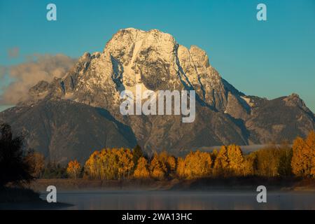 Herbstschnee am Mount Moran mit goldenen Aspenblättern im Yellowstone-Nationalpark, Wyoming Stockfoto