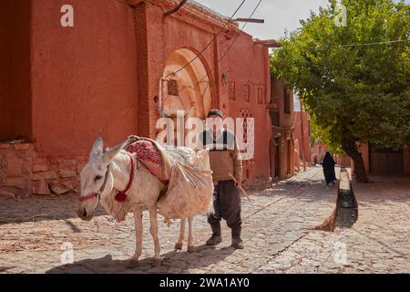 Porträt eines älteren Mannes mit seinem weißen Esel in einer schmalen Straße im historischen Dorf Abyaneh im Kreis Natanz, Iran. Stockfoto