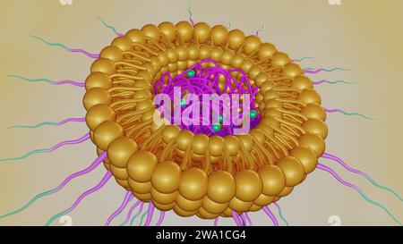 3D-Rendering von lipidbeschichteten Polymeren Nanopartikeln konjugiertem Poly-Ethylenglykol zur Arzneimittelverabreichung Stockfoto