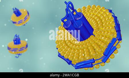 3D-Rendering von Nanodisc besteht aus Phospholipiden und Einem stabilisierenden Gürtel, der die Phospholipide zusammenhält. Stockfoto