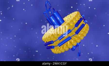 3D-Rendering von Nanodisc besteht aus Phospholipiden und Einem stabilisierenden Gürtel, der die Phospholipide zusammenhält. Stockfoto