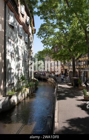 Sonnenlicht fällt zwischen Bäumen auf eine helle Wand eines Gebäudes, einer Straße und eines Baches im Stadtzentrum von Colmar Stockfoto