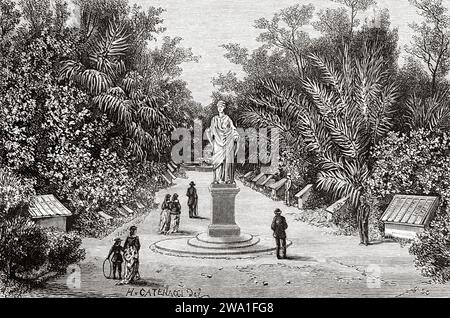 Botanische Gärten, Adelaide, South Australia. Sechs Monate in Australien 1878 von Desire Charnay (1828 - 1915) Stich aus dem 19. Jahrhundert aus Le Tour du Monde 1880 Stockfoto