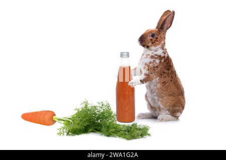 Kaninchen stehen mit einer Flasche Karottensaft isoliert auf weißem Hintergrund Stockfoto