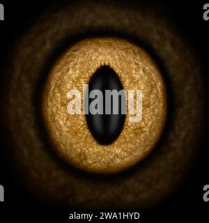 Nahaufnahme der Iris eines Katzenauges. Stockfoto