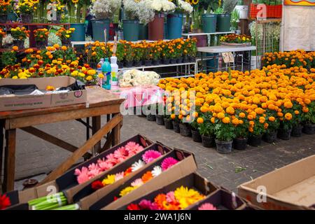 Blumen zum Verkauf auf dem Jamaica Market in Mexiko-Stadt, Mexiko Stockfoto