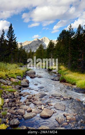 Ein Blick auf einen Fluss im French Canyon auf der Sierra High Route, CA. Stockfoto