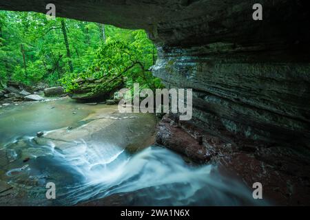 Bach fließt durch eine Höhle in den Wald Stockfoto