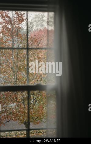 Blick durch ein Fenster mit fallendem Schnee draußen vor herbstlichem Hintergrund Stockfoto