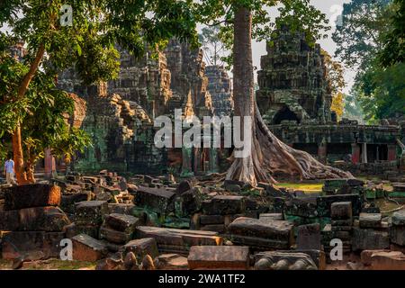 TA Prohm Tempelruinen in Angkor Complex, Siem Reap, Kambodscha. Gegründet im 12. Jahrhundert vom Khmer-König Jayavarman VII. Als Mahayana-buddhistische mona Stockfoto