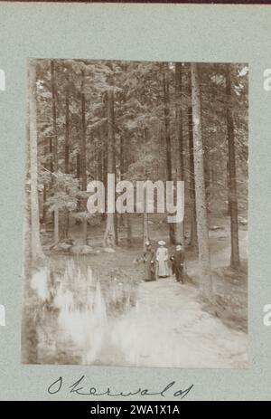 Drei Personen auf einem Waldweg zwischen Kiefern, ca. 1903 Foto vom Album 'Photographies'. Deutschland (möglicherweise)Niederlande (möglicherweise) Karton. Papier Niederländisch-Indien, die Stockfoto