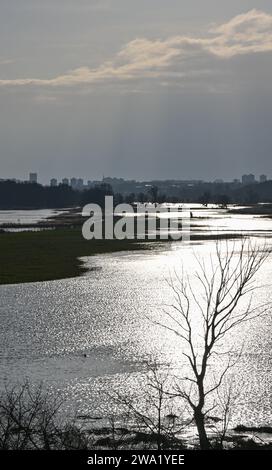 01. Januar 2024, Brandenburg, Frankfurt (oder): Hochwasser der deutsch-polnischen Grenzflut hat die Wiesen des oder-Vorlandes überschwemmt. Die Höhe der oder lag mittags in Frankfurt (oder) bei 4,05 Metern. Foto: Patrick Pleul/dpa Stockfoto