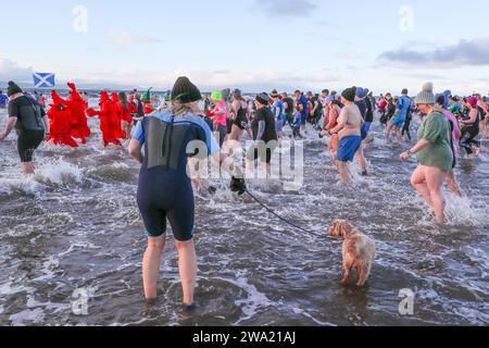 Irvine, Ayrshire, Großbritannien. Januar 24. Irvine, Großbritannien. Mehrere hundert Menschen nahmen an dem jährlichen Neujahrstag Polar Plunge vom Irvine Beach in Ayrshire in den Firth of Clyde Teil. Viele der Schwimmer sammelten Geld für eine Wohltätigkeitsorganisation Credit: Findlay/Alamy Live News Stockfoto