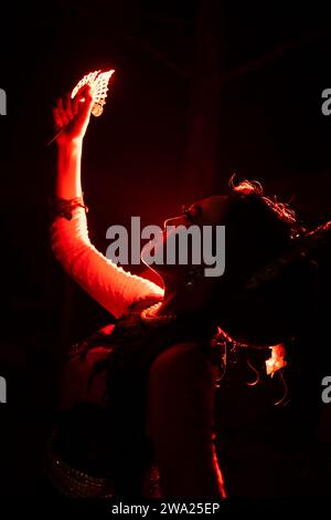 Silhouette einer Tänzerin mit Schmuck mitten in der Stille der Nacht mit rotem Licht in der Nacht Stockfoto