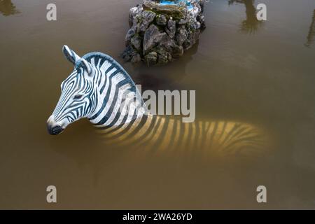 Stourport-on-Severn, Worcestershire, 1. Januar 2024 - Ein Modell Zebras Kopf sticht aus dem Hochwasser. - Der Wasserstand stieg am Montag durch Stourport-on-Severn an, als Sturm Henk schwere Hochwasserwarnungen in Großbritannien brachte. Ein Modell eines Dinosauriers auf einem Minigolfplatz, von Einheimischen, die es als Höhenmessgerät verwenden, Dennis genannt, ist jetzt „Kniehöhe“ Geoffrey die Giraffe ist ebenfalls „Schulterhöhe“ in der Nähe. Ein Modell Zebra und Tiger konnte auch teilweise unter Wasser gesehen werden. Das Treasure Island Fair Ground ist heute mehr Insel wie früher. Quelle: Stop Press Media/Alamy Live News Stockfoto