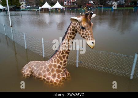 Stourport-on-Severn, Worcestershire, 1. Januar 2024 - Geoffrey die Giraffe ist schulterhoch im Hochwasser - der Wasserstand stieg am Montag durch Stourport-on-Severn, als Sturm Henk große Teile Großbritanniens mit Hochwasserwarnungen warnte. Ein Modell eines Dinosauriers auf einem Minigolfplatz, von Einheimischen, die es als Höhenmessgerät verwenden, Dennis genannt, ist jetzt „Kniehöhe“ Geoffrey die Giraffe ist ebenfalls „Schulterhöhe“ in der Nähe. Ein Modell Zebra und Tiger konnte auch teilweise unter Wasser gesehen werden. Das Treasure Island Fair Ground ist heute mehr Insel wie früher. Quelle: Stop Press Media/Alamy Live News Stockfoto