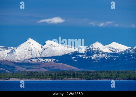 Die schneebedeckte Absaroka Mountain Range in East Yellowstone, Wyoming, USA. Stockfoto