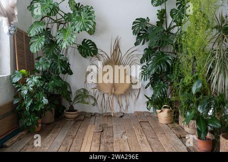 Garten im Boho-Stil. Skandinavische Innenarchitektur des Innengartens mit Zimmerpflanzen Stockfoto