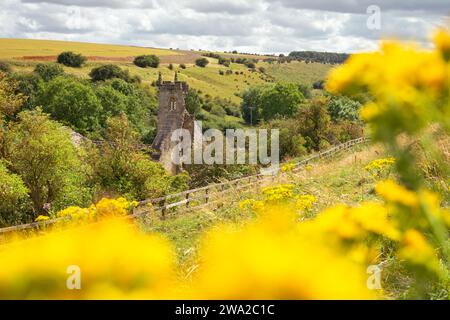 Wharram Percy - Yorkshire, Großbritannien Stockfoto