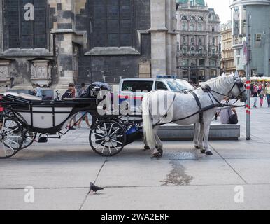 WIEN, ÖSTERREICH - CA. SEPTEMBER 2022: Pferde und Kutschen Stockfoto